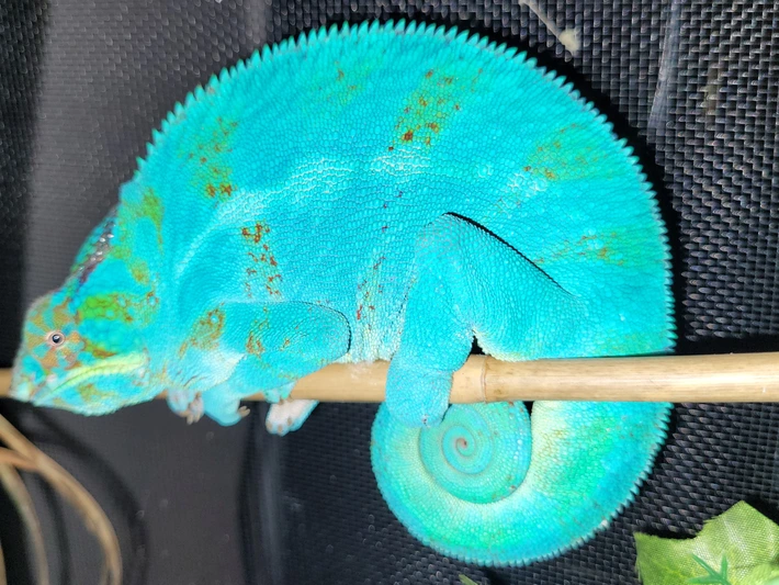 20231016025834.86-20230131_054949-710x710h