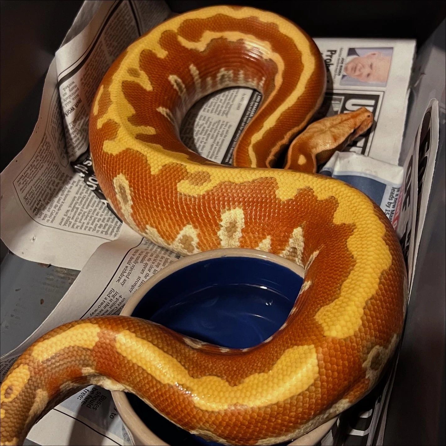 20251108211727.911-ABF87B5D-3877-4FA1-9-1420x1420h